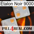 Étalon Noir 9000 25